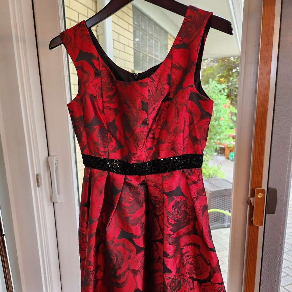 Donna Ricco Silky Red Party Dress
